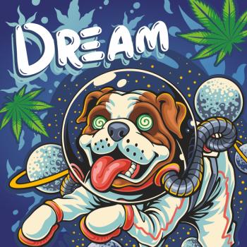 Preview: SIN TETRA | Dream